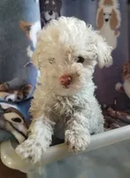 processed/55df53ee-785a-4a21-ab86-83ead5609455/listing/315d2b2b-0043-44c8-8baf-a096844570eb/8dc040e4-71ff-406d-aec5-46320fb8f53c