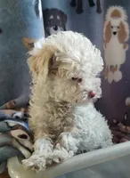 processed/55df53ee-785a-4a21-ab86-83ead5609455/listing/315d2b2b-0043-44c8-8baf-a096844570eb/a739d5df-82ea-4662-a633-fdff9b39ef14