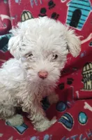 processed/55df53ee-785a-4a21-ab86-83ead5609455/listing/fb2f5110-9f2b-4458-b1f0-7bb17c43d5fd/2ef79792-6a10-412e-9350-303fcfcc3532