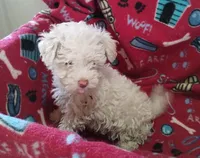 processed/55df53ee-785a-4a21-ab86-83ead5609455/listing/fb2f5110-9f2b-4458-b1f0-7bb17c43d5fd/cd6d1254-b780-4304-8713-4921414976a7