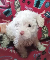 processed/55df53ee-785a-4a21-ab86-83ead5609455/listing/fb2f5110-9f2b-4458-b1f0-7bb17c43d5fd/e870cd61-a867-4dfc-9d8d-7641d80f048f