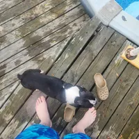 processed/55e5fc13-926e-4f75-bfe7-0574c7850131/facility/27bb180b-320a-4e87-b70d-c2e7189a86f4