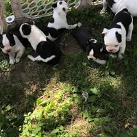 processed/55e5fc13-926e-4f75-bfe7-0574c7850131/facility/3c5ac36f-fcd2-42db-b4af-fa4af2c52635