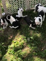 processed/55e5fc13-926e-4f75-bfe7-0574c7850131/facility/3c5ac36f-fcd2-42db-b4af-fa4af2c52635