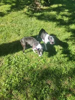 processed/55e5fc13-926e-4f75-bfe7-0574c7850131/facility/8de6d61d-06b3-4c6d-bc59-eb2d8511edc9