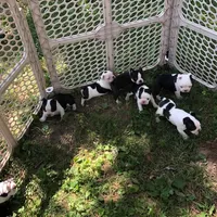 processed/55e5fc13-926e-4f75-bfe7-0574c7850131/facility/f50e447b-e7ff-4375-b906-4636135978a8