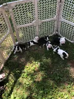 processed/55e5fc13-926e-4f75-bfe7-0574c7850131/facility/f50e447b-e7ff-4375-b906-4636135978a8