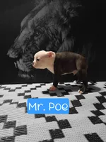 processed/55e5fc13-926e-4f75-bfe7-0574c7850131/listing/21837ebd-4b2e-44d5-aa85-62d09971b970/9ed93a46-733d-4f70-84ec-9e2075777b2c