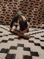 processed/55e5fc13-926e-4f75-bfe7-0574c7850131/listing/3e6ff99b-414f-47d5-bb06-dba881f92e8d/e0522b4d-f9e0-48c9-883b-c0d0c1aa6dfe