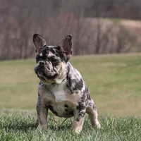 processed/55e7d4b9-9d0f-498f-9934-35ce0c231845/facility/49fe671e-0882-44ec-85b1-201baba1b351