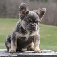 processed/55e7d4b9-9d0f-498f-9934-35ce0c231845/facility/56530372-fa3f-4412-bc42-61d899b4abad