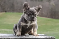 processed/55e7d4b9-9d0f-498f-9934-35ce0c231845/facility/56530372-fa3f-4412-bc42-61d899b4abad