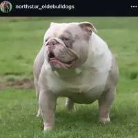 processed/55e7d4b9-9d0f-498f-9934-35ce0c231845/facility/85e77016-6b23-4e15-a06d-b8010a8cd7e3