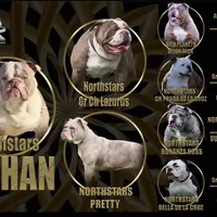 processed/55e7d4b9-9d0f-498f-9934-35ce0c231845/facility/92393f6a-1d2e-47ce-a38f-67ee14153047