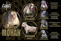 processed/55e7d4b9-9d0f-498f-9934-35ce0c231845/facility/92393f6a-1d2e-47ce-a38f-67ee14153047