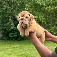 processed/55e7d4b9-9d0f-498f-9934-35ce0c231845/facility/9f51988e-17d9-4a14-8009-aee1408b2f18