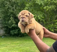 processed/55e7d4b9-9d0f-498f-9934-35ce0c231845/facility/9f51988e-17d9-4a14-8009-aee1408b2f18