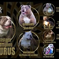 processed/55e7d4b9-9d0f-498f-9934-35ce0c231845/facility/a25c4d33-563e-4294-950c-eea50f13b11e