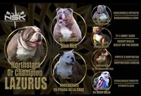 processed/55e7d4b9-9d0f-498f-9934-35ce0c231845/facility/a25c4d33-563e-4294-950c-eea50f13b11e