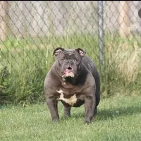 processed/55e7d4b9-9d0f-498f-9934-35ce0c231845/facility/d1cc3e64-3dda-4633-a3ba-92ea2da17d93