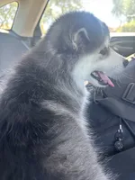 processed/55e82a84-396a-4fb9-9e59-6b2c69755a21/listing/869406f2-2685-4966-822d-ae5dd636b317/1ff3d373-4b17-476a-b32e-146a34f10caa