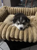 processed/55e82a84-396a-4fb9-9e59-6b2c69755a21/listing/869406f2-2685-4966-822d-ae5dd636b317/9623a59c-1930-4ff4-9fed-e008cf4fe4b6