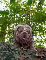 processed/55f48308-8d4f-4e4d-8efd-91d9740f69c0/facility/3b24d46d-af16-4b0c-a077-2ced26c7e24d