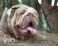 processed/55f48308-8d4f-4e4d-8efd-91d9740f69c0/facility/6b65cda7-3111-4d1a-b4af-f1dc23ea4b34