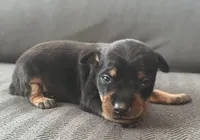 processed/5600b672-98f7-49a6-a73d-cd065ac0b18d/listing/283bf84f-c936-49de-9b8a-a70410a9fc32/08b82ff0-84d1-4886-ab47-9d290376bf51