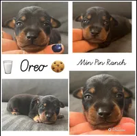 processed/5600b672-98f7-49a6-a73d-cd065ac0b18d/listing/283bf84f-c936-49de-9b8a-a70410a9fc32/121a2522-2f91-49d0-b238-530ff46afc68