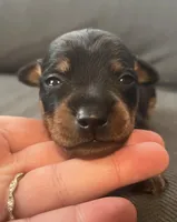 processed/5600b672-98f7-49a6-a73d-cd065ac0b18d/listing/283bf84f-c936-49de-9b8a-a70410a9fc32/2925d055-373b-4443-8f5e-efe81a15bab5