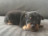 processed/5600b672-98f7-49a6-a73d-cd065ac0b18d/listing/283bf84f-c936-49de-9b8a-a70410a9fc32/327777f3-f762-4101-8912-8d42782165dd