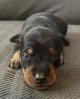 processed/5600b672-98f7-49a6-a73d-cd065ac0b18d/listing/283bf84f-c936-49de-9b8a-a70410a9fc32/466e8b89-68a2-49ea-9d25-3554d9217131