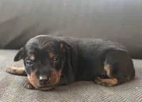 processed/5600b672-98f7-49a6-a73d-cd065ac0b18d/listing/283bf84f-c936-49de-9b8a-a70410a9fc32/6898f9ed-8948-495a-bd76-f53f02804faf