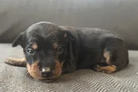 processed/5600b672-98f7-49a6-a73d-cd065ac0b18d/listing/283bf84f-c936-49de-9b8a-a70410a9fc32/72dcafca-f551-432a-83cd-3383267b08d5