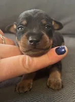 processed/5600b672-98f7-49a6-a73d-cd065ac0b18d/listing/283bf84f-c936-49de-9b8a-a70410a9fc32/a584c66c-ce8d-4d4f-a13d-f9e004bf4ae7