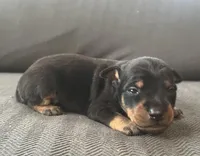 processed/5600b672-98f7-49a6-a73d-cd065ac0b18d/listing/283bf84f-c936-49de-9b8a-a70410a9fc32/bac789b5-3825-41a4-af50-45f9c6a1fc6e