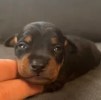 processed/5600b672-98f7-49a6-a73d-cd065ac0b18d/listing/283bf84f-c936-49de-9b8a-a70410a9fc32/e3958136-75a3-4db0-b8c3-76d60b7f7b4c