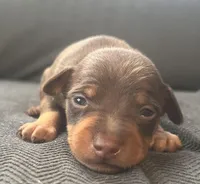 processed/5600b672-98f7-49a6-a73d-cd065ac0b18d/listing/667e717a-b478-4c03-ae82-a133f2ef28f2/1688cd58-a1b0-4d67-98dc-b14a0d56b65d