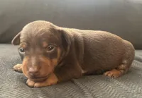 processed/5600b672-98f7-49a6-a73d-cd065ac0b18d/listing/667e717a-b478-4c03-ae82-a133f2ef28f2/3703d68c-dfc2-402f-9acd-bdde4a8a501d