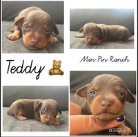 processed/5600b672-98f7-49a6-a73d-cd065ac0b18d/listing/667e717a-b478-4c03-ae82-a133f2ef28f2/61b528e6-6c2c-40d4-8965-1e08452f98f7