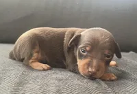 processed/5600b672-98f7-49a6-a73d-cd065ac0b18d/listing/667e717a-b478-4c03-ae82-a133f2ef28f2/8cd79e75-8189-411c-95a9-557cd02ba88d