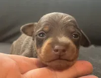 processed/5600b672-98f7-49a6-a73d-cd065ac0b18d/listing/667e717a-b478-4c03-ae82-a133f2ef28f2/9fa4350d-265f-4060-b265-73b675567466