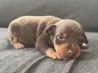 processed/5600b672-98f7-49a6-a73d-cd065ac0b18d/listing/667e717a-b478-4c03-ae82-a133f2ef28f2/b5973067-bc99-44a7-bfed-a175007bcde8