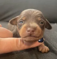 processed/5600b672-98f7-49a6-a73d-cd065ac0b18d/listing/667e717a-b478-4c03-ae82-a133f2ef28f2/ec5c66e1-f0a9-42b4-947a-79a44fe2f52a