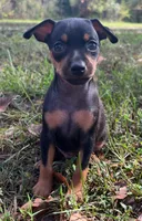 processed/5600b672-98f7-49a6-a73d-cd065ac0b18d/listing/aeeb01d0-8ee8-4bdf-9f8a-fe82fb1afdac/5d1cbe42-2eb7-4dfe-a231-ce19dd2eb786