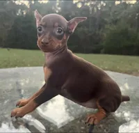 processed/5600b672-98f7-49a6-a73d-cd065ac0b18d/listing/aeeb01d0-8ee8-4bdf-9f8a-fe82fb1afdac/5f00f1ec-c4da-4aa3-af0a-df4b94c7389c