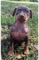 processed/5600b672-98f7-49a6-a73d-cd065ac0b18d/listing/d24e06e7-b30d-4e0b-bc0a-0020a09a4a9c/0de2938f-7395-4123-9e27-02a776f68708