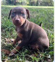 processed/5600b672-98f7-49a6-a73d-cd065ac0b18d/listing/d24e06e7-b30d-4e0b-bc0a-0020a09a4a9c/12df07dd-3efb-4228-87cf-dd3fc6fdaf79