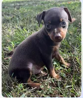 processed/5600b672-98f7-49a6-a73d-cd065ac0b18d/listing/d24e06e7-b30d-4e0b-bc0a-0020a09a4a9c/1b83cdb9-39d8-4da0-9f06-cbb1538cef86